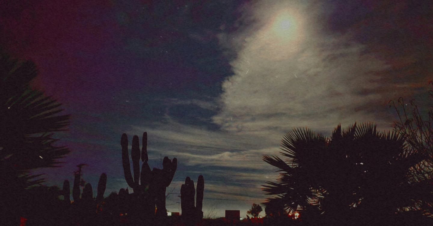 Featured photograph by Anne Amor