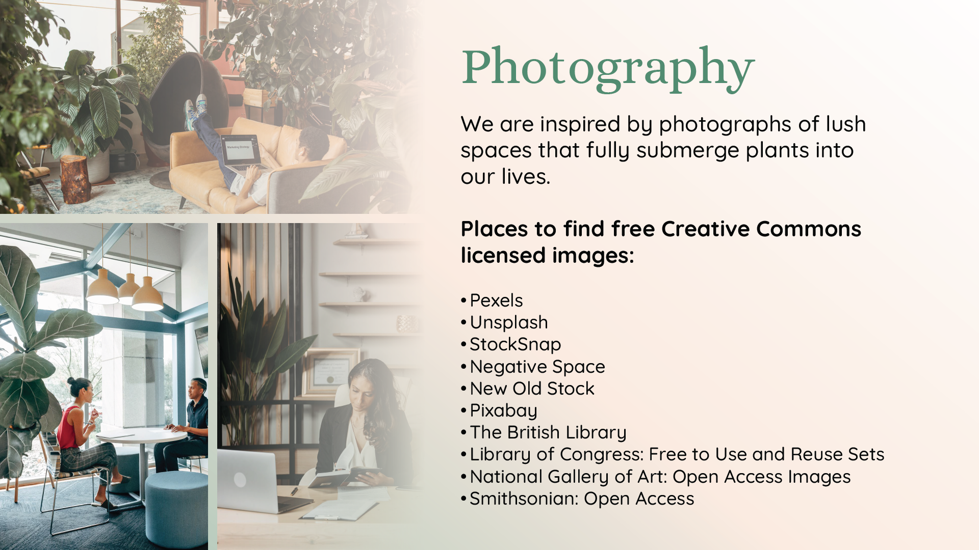 Fernscape Interiors photography guidelines