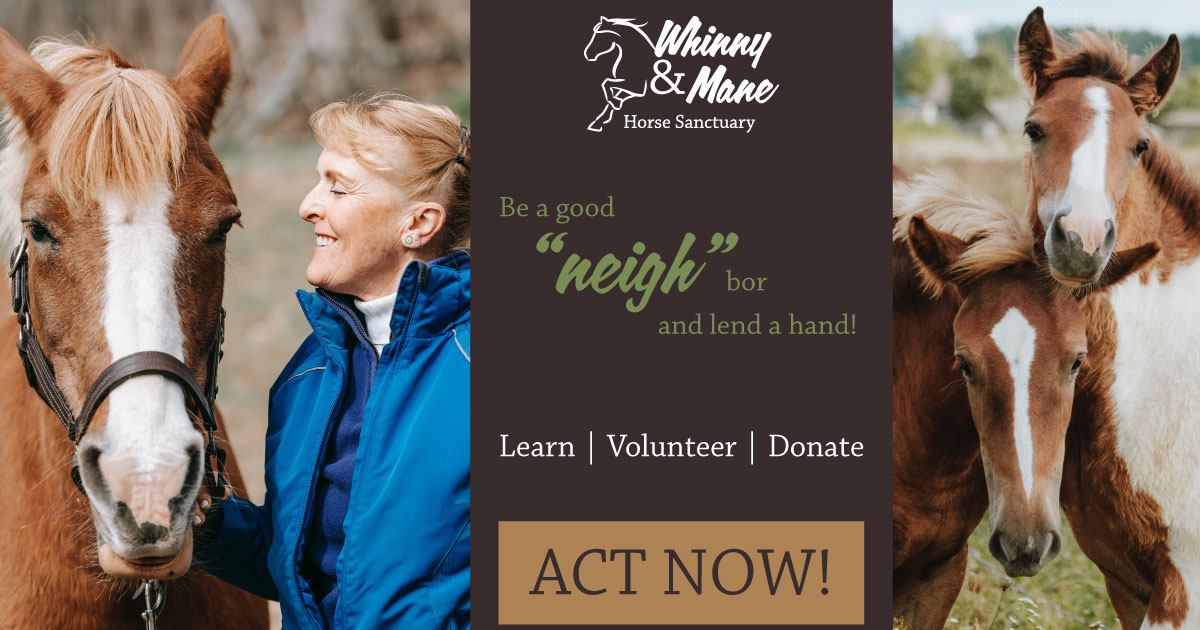 Whinny and Mane Facebook fundraising advertisement